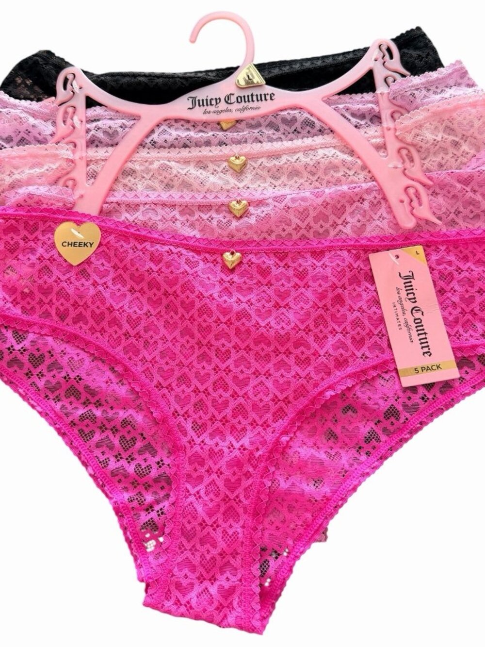 Juicy Couture ~ Women's Cheeky Lace Underwear Panties Nylon Blend 5-Pair ~ L